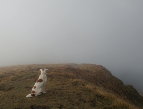 8 Ways a Fear of Abandonment Could Show Up in Your Life